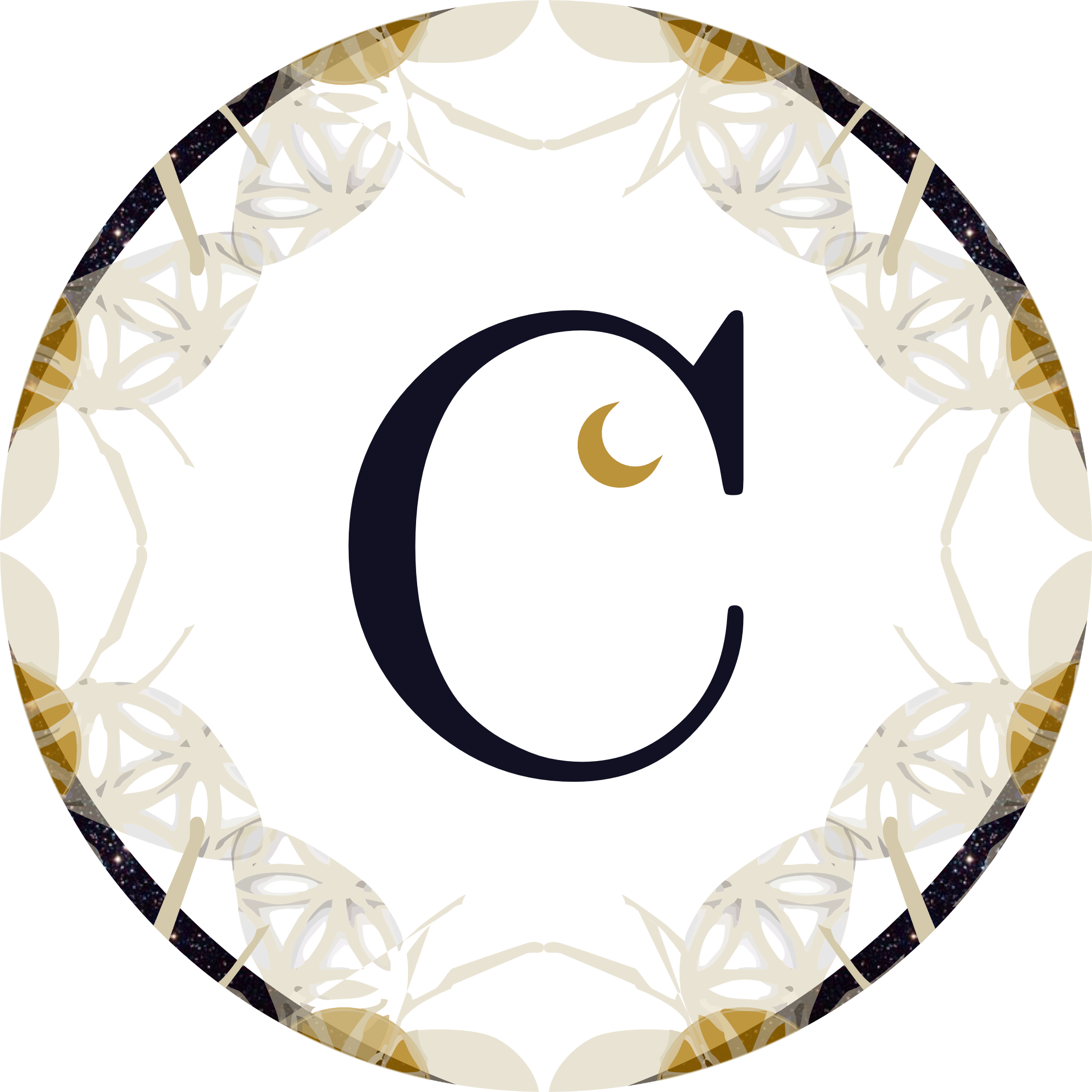 Camila de Assis Brasil